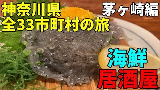 【神奈川県全33市町村の旅②茅ケ崎編】喫茶店と海と海鮮居酒屋、そして竜泉寺の湯【神奈川県茅ケ崎市観光vlog】