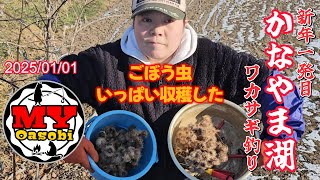 【釣り】2025年一発目　かなやま湖　ワカサギ釣り    #ごぼう虫 #北海道釣り #氷上釣り #ワカサギ