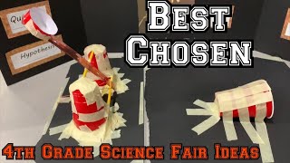 15 Best Chosen Science Fair Projects for 4th Grade - STEM Activities