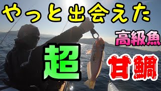 やっっと出会えた！！超高級魚！【癒しのカヤックフィッシング　Vol.39】