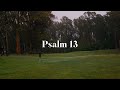 Psalm 13 (a visual)