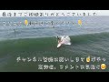 【映える】朝日が映える動画 朝一サーフィン空撮 ひざモモ 2022年5月25日 水 静岡県湖西市　 dji phantom •４k高画質サーファー空撮