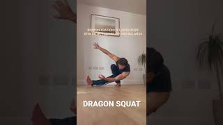 Dragon squat