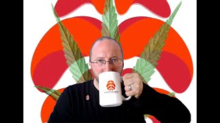 Multiple Sclerosis Vlog: Medical Marijuana and I Make an Announcement