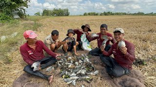 Hai mẻ Lưới trúng mánh đủ loại Cá quá ngon . Săn bắt trên đồng khô VXĐ