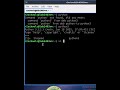 Run Python Scripts Like a Pro on Linux Terminal | Step-by-Step Guide for Beginners