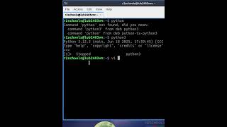Run Python Scripts Like a Pro on Linux Terminal | Step-by-Step Guide for Beginners