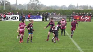 Cheshire U10's Rugby Festival - Bowden 2 V Wirral - 7th April 2019