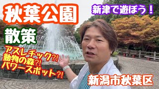 2023年9月6日 秋葉公園を歩く！パワースポット巡り 新津で遊ぶ日 動物の森 新潟市秋葉区