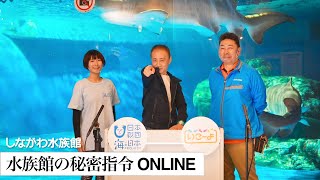 本編：水族館の秘密指令ONLINE  しながわ水族館編 | いこーよ