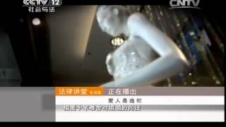 20141221 法律讲堂  爱人是逃犯