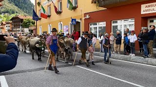 Desmonteada di Moena - Trentino