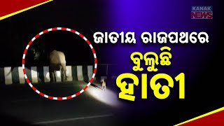 Elephant Terror on NH-53 Near Malpura, Kamakhyanagar – Locals in Fear