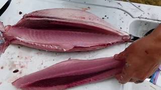 How to cark or fillet albacore tuna