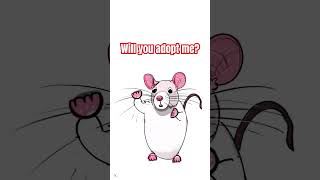 Adopt a rat today ? #cute #funny #animation