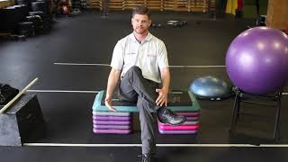 Modified Low Back Stretches (Seated Standing Stretches)