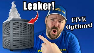 5 Options on AC Refrigerant LEAKS!