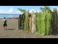 2018 png cruise episode 6 vitu islands u0026 rabaul