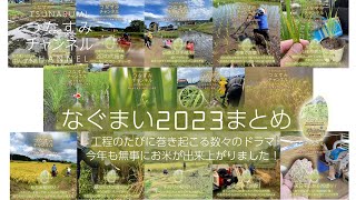 なぐまい2023まとめ〜工程の度に巻き起こる数々のドラマ。今年も無事にお米が出来上がりました！〜