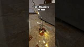 Os presento mi árbol de navidad