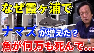 霞ヶ浦でアメリカナマズが増えた理由【村田基/ジム公認チャンネル】