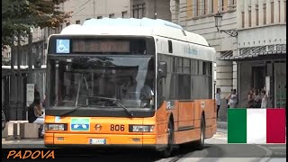 City buses in Padova - Italy l 2023.07.28