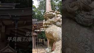 崇道神社　長岡京から平安京に遷都した理由には諸説ありますがその一つとされる早良親王(崇道天皇)をお祀りする神社#shorts