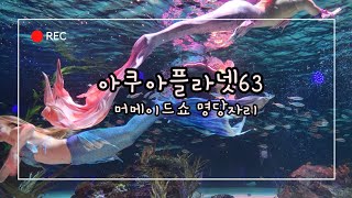 아쿠아플라넷63 머메이드쇼 맨앞자리에서 보기 아쿠아리움 아이랑