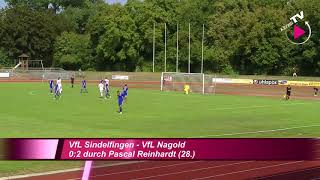 VfL Sindelfingen - VfL Nagold 2:3 (1:2)