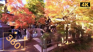 [360動画 VR動画】日本八王子高尾山紅葉まつりウォーキング2024 5.7K