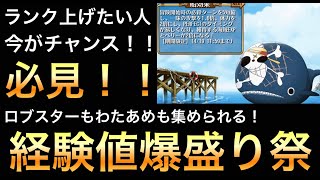 【トレクル】ランク上げたい人必見！経験値爆盛り祭開催中！今がチャンス！ロブスターも経験値集められる！決戦！？三船長  超高速周回編成【OPTC】【One Piece Treasure Cruise】