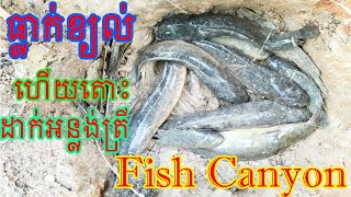 How to put a fish can easily របៀបដាក់អន្លង់ត្រីងាយៗ