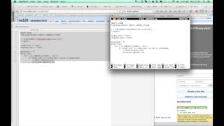 Creating a Reddit bot in 5 minutes