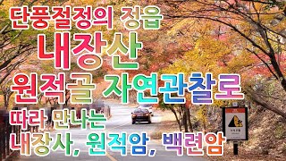 단풍절정의 정읍 내장산 \u0026 원적골 자연관찰로를 따라 만나는 내장사, 원적암, 백련암