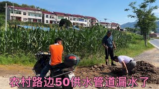 农村路边50供水管道漏水了，真的是没想到罪魁祸首竟然是“它”