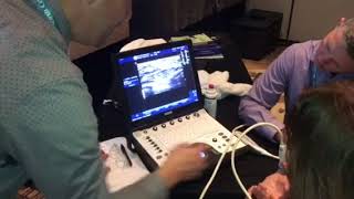 Musculoskeletal Sonography (4/4) - ASHT 40th Annual Meeting