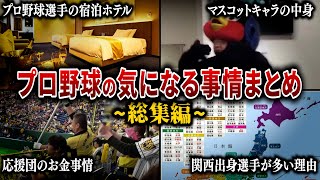 【プロ野球の都市伝説級ウラ事情】触れてはいけないかもしれないプロ野球のタブー?をまとめて紹介