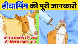 बकरी पालन में बकरियों की डी वार्मिंग की पूरी जानकारी| goat's deworming full information in one video