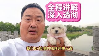 亮哥耗时六小时，许昌给粉丝淘下四只精品宠物，全程讲解深入透彻