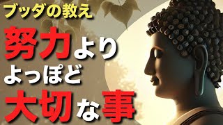 【努力はすぐやめなさい】人生後悔しないために、努力の代わりにすべきこと【ブッダの教え】