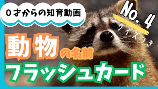 動物の名前を覚えよう！【０歳からの知育動画】赤ちゃん・未就学児向け【動物のフラッシュカード】