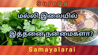 Benifits of Coriander leaves/Malli ilai thuvayal/Coriander leaves chutney/kothamali ilai chutney