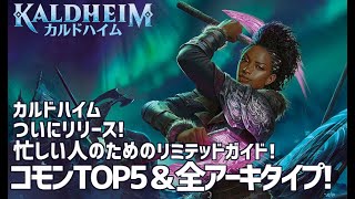 【MTG アリーナ】カルドハイムリリース直前！忙しい人のためのリミテッドガイド！リミテッドコモンTOP5とアーキタイプ総まとめ！モバイル版でもリミテッドできます！ドラフト＆シールド