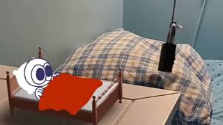 Rabbert s night time routine