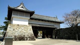 佐賀県　佐賀城の桜 / Saga Castle and Cherry Blossoms (Saga, Japan) [HD]