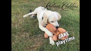 JAKE 5 months - AVAILABLE