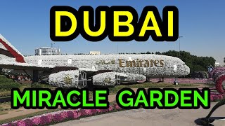 ദുബായിലെ മനോഹരമായ ഗാർഡൻ  /DUBAI MIRACLE GARDEN /MIRACLE GARDEN 2021/ malayalam