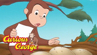 Curious George's Egg Hunt 🐵 Curious George 🐵 Kids Cartoon 🐵 Kids Movies
