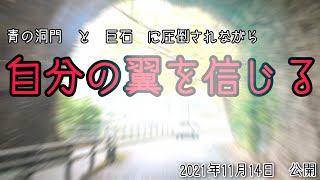 【名言と絶景】自分の翼を信頼する／耶馬渓の景色2021年