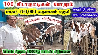 3 சென்ட் இடத்தில் 100 குட்டி வளர்க்கும் இஞ்சினியர் / #ஆடு #ஆடுவளர்ப்பு #aadu  @tamilvivasayi